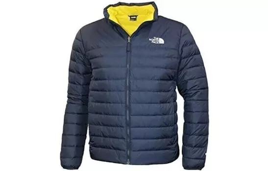 Куртка мужская синяя The North Face, синий
