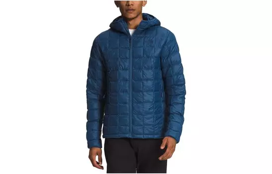 Куртка мужская синяя The North Face, синий