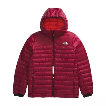 Куртка мужская свекла The North Face, цвет Beetroot