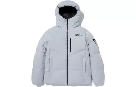 Куртка мужская светло-серая The North Face, серый