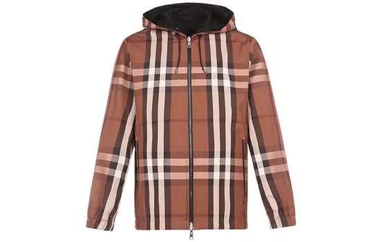 Куртка мужская темно-коричневая березка Burberry, коричневый