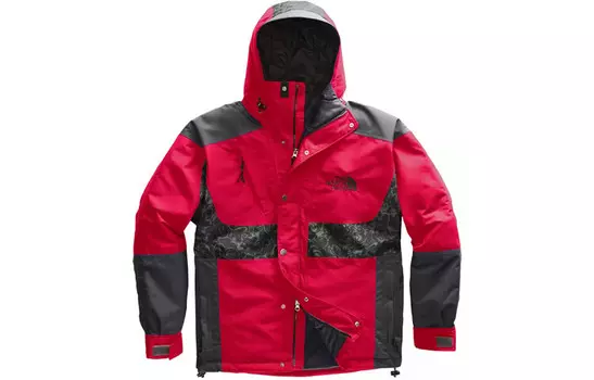 Куртка мужская The North Face