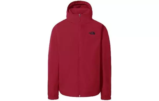 Куртка мужская уличная The North Face, пастельно-зеленый