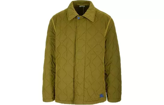 Куртка мужская зеленая Burberry, зеленый