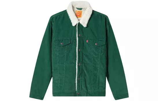 Куртка мужская зеленая Levi’S, зеленый