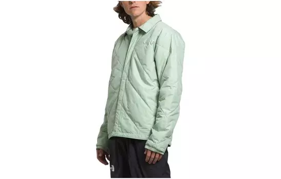 Куртка мужская зеленая The North Face, зеленый