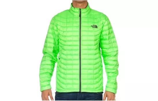 Куртка мужская зеленая The North Face, зеленый