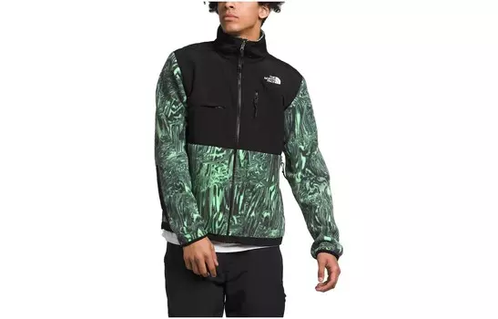 Куртка мужская зеленая The North Face, зеленый