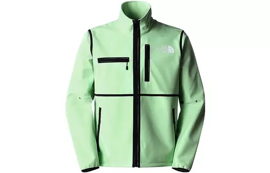 Куртка мужская зеленая The North Face, зеленый