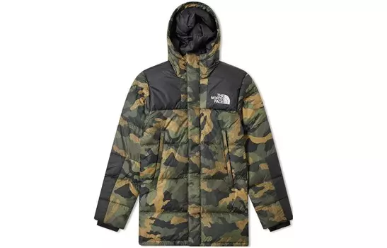 Куртка мужская зеленая The North Face, зеленый