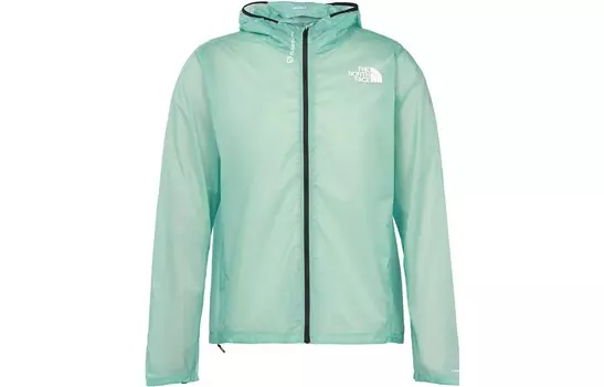 Куртка мужская зеленая The North Face, зеленый