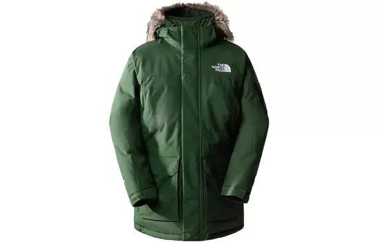 Куртка мужская зеленая The North Face, зеленый