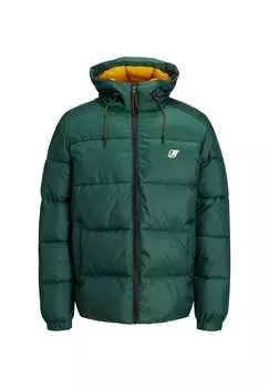 Куртка наклонная стеганая куртка Jack & Jones, зеленый
