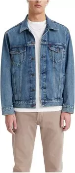 Куртка New Relaxed Fit Trucker Levi's, цвет Wheeler