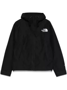 Куртка North Face DryVent Mono Mountain The North Face, черный