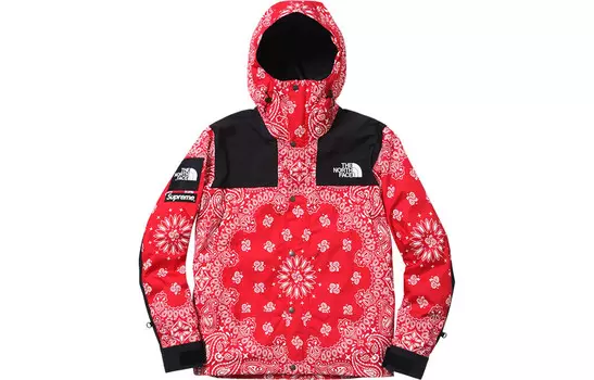 Куртка North Face X Outdoor унисекс Supreme