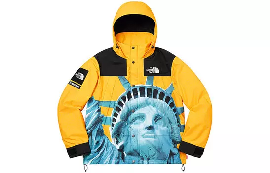 Куртка North Face X Tnf Joint Series Outdoor унисекс Supreme