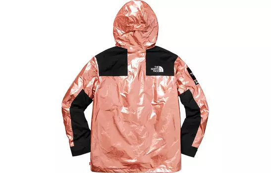 Куртка North Face X Tnf Joint Series Outdoor унисекс Supreme
