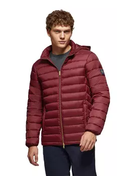 Куртка Polo Club Jacke, бордо