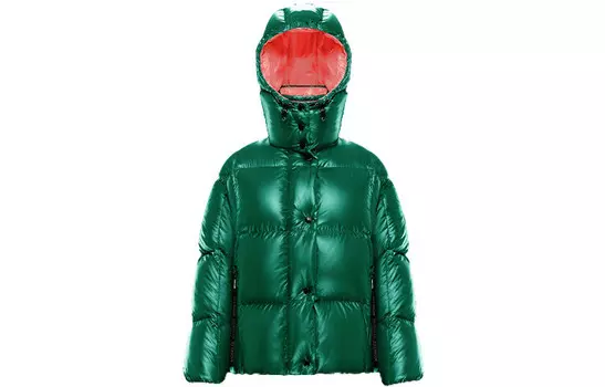 Куртка-пуховик Parana Series женская зеленый Moncler
