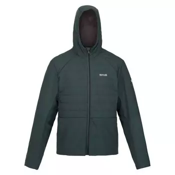 Куртка Regatta Daxford, зеленый