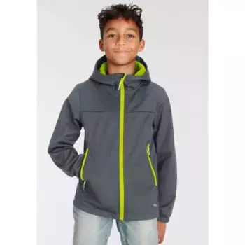 Куртка софтшелл Icepeak "K SOFTSHELL JACKE KLINE" (1 шт.), с капюшоном, серый