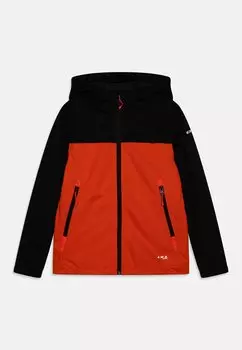 Куртка Softshell KLINE JR UNISEX Icepeak, цвет orange