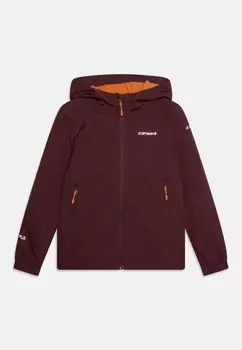 Куртка Softshell Kobryn Jr Unisex Icepeak, цвет plum