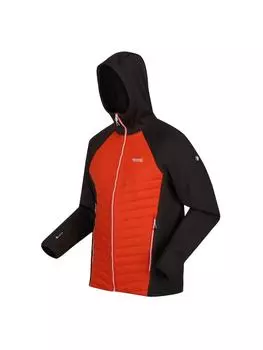 Куртка софтшелл Regatta, оранжевый