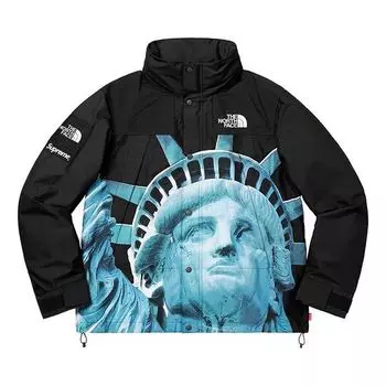 Куртка Supreme FW19 Week 10 x The North Face Statue of Liberty Mountain Jacket Black SUP-FW19-905, черный