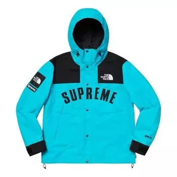 Куртка Supreme SS19 x The North Face Arc Logo Mountain Parka LightBlue SUP-SS19-551, синий