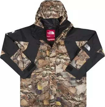 Куртка Supreme x The North Face Mountain Light Jacket 'Leaves', коричневый