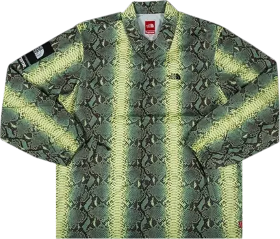 Куртка Supreme x The North Face Snakeskin Taped Seam Coaches Jacket 'Green', зеленый