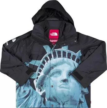 Куртка Supreme x The North Face Statue Of Liberty Mountain Jacket 'Black', черный