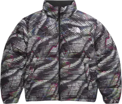 Куртка The North Face 1996 Retro Nuptse 'TNF Black/Beta Flash Print', черный