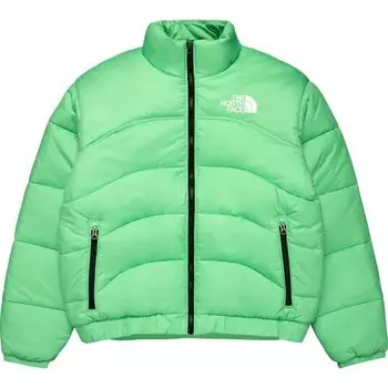 Куртка The North Face 1996 в стиле ретро, цвет Chlorophyll Green