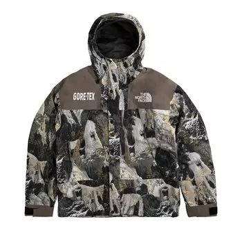 Куртка The North Face GTX Mountain, цвет Коричневый сокола, принт Conrads Notes