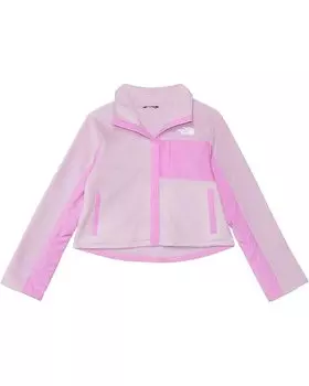 Куртка The North Face Kids Fleece Mashup Jacket, цвет Mineral Purple