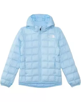 Куртка The North Face Kids ThermoBall Hooded Jacket, цвет Cornflower