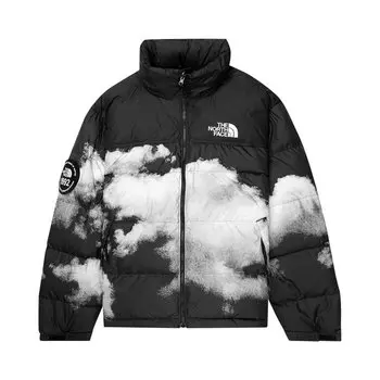 Куртка The North Face Printed 92 Retro Anniversary Nuptse Jacket, черный