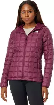 Куртка Thermoball Eco Hoodie The North Face, цвет Boysenberry