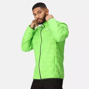 Куртка утепленная Regatta, цвет anisgrn