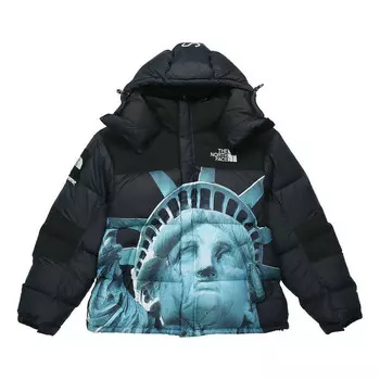 Куртка x the north face statue of liberty mountain jacket 'black' Supreme, черный