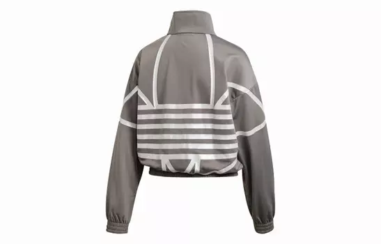 Куртка женская Pure Ice Ash Adidas Originals, цвет Pure ice ash