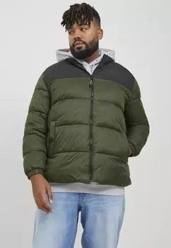 Куртка зимняя ETOBY PUFFER COLLAR PLS Jack & Jones, канифоль