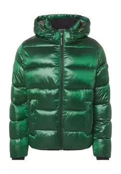 Куртки стеганые с длинным рукавом мужские MILESTONE, зеленый