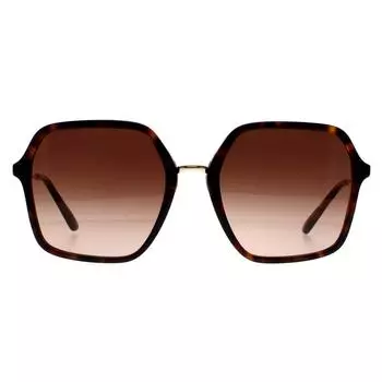 Квадратный Гавана Коричневый Градиент DG4422 Dolce & Gabbana, коричневый