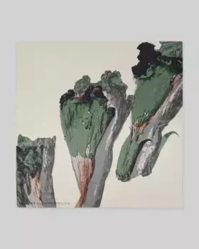 Квадратный женский шарф с принтом Adolfo Dominguez, коричневый