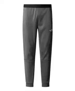 Лабораторные тренировочные брюки для легкой атлетики The North Face, серый