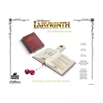 Labyrinth Adventure Game, твердый переплет